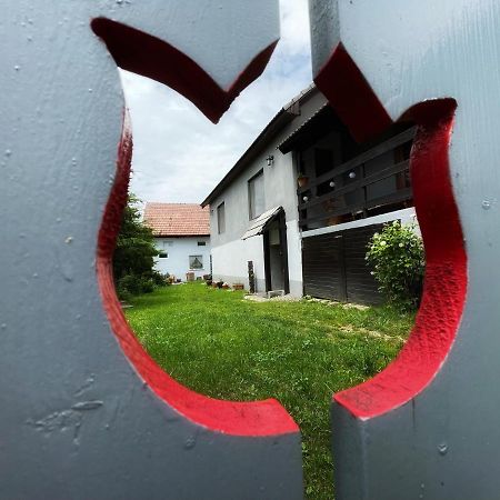 Casa De Oaspeti Cristina Fitod Dış mekan fotoğraf