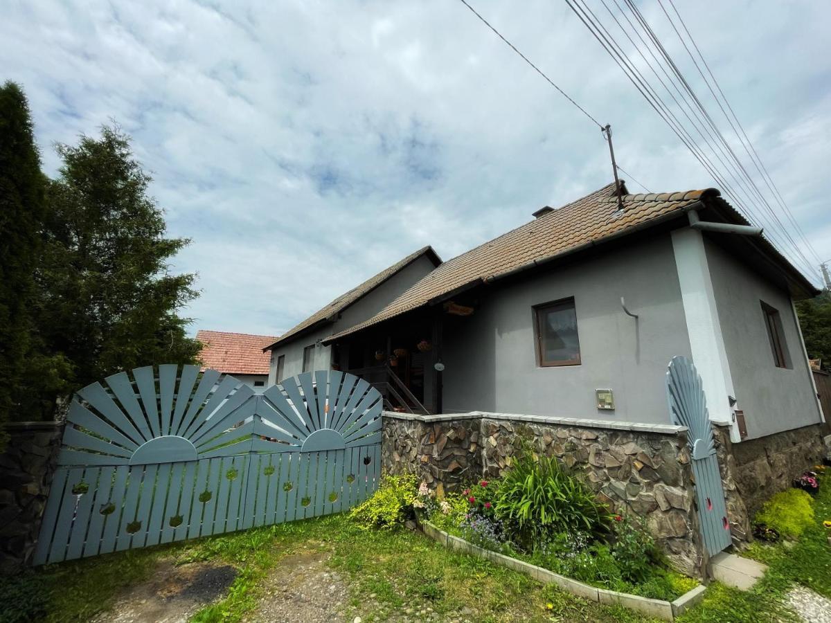 Casa De Oaspeti Cristina Fitod Dış mekan fotoğraf