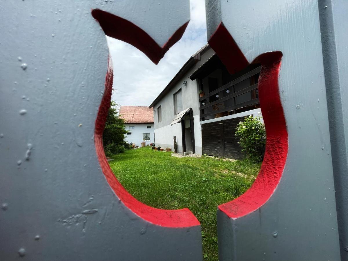 Casa De Oaspeti Cristina Fitod Dış mekan fotoğraf