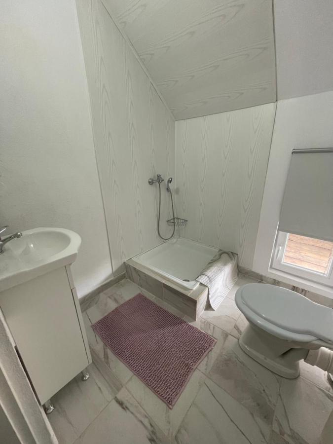 Casa De Oaspeti Cristina Fitod Dış mekan fotoğraf
