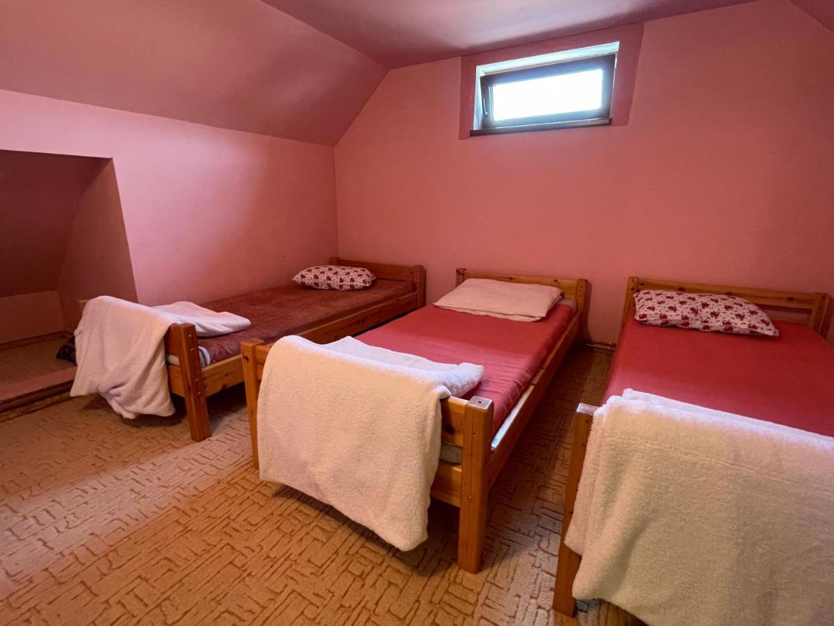 Casa De Oaspeti Cristina Fitod Dış mekan fotoğraf
