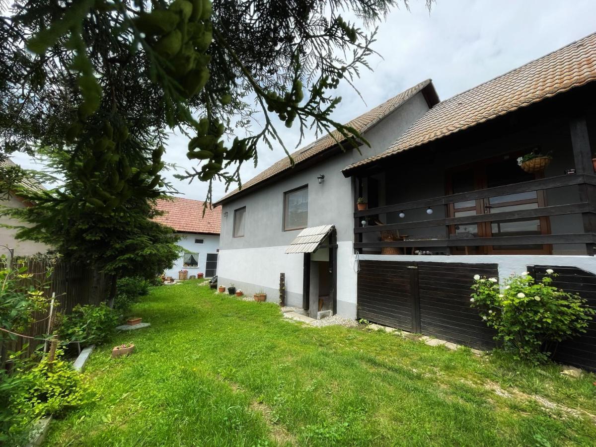 Casa De Oaspeti Cristina Fitod Dış mekan fotoğraf