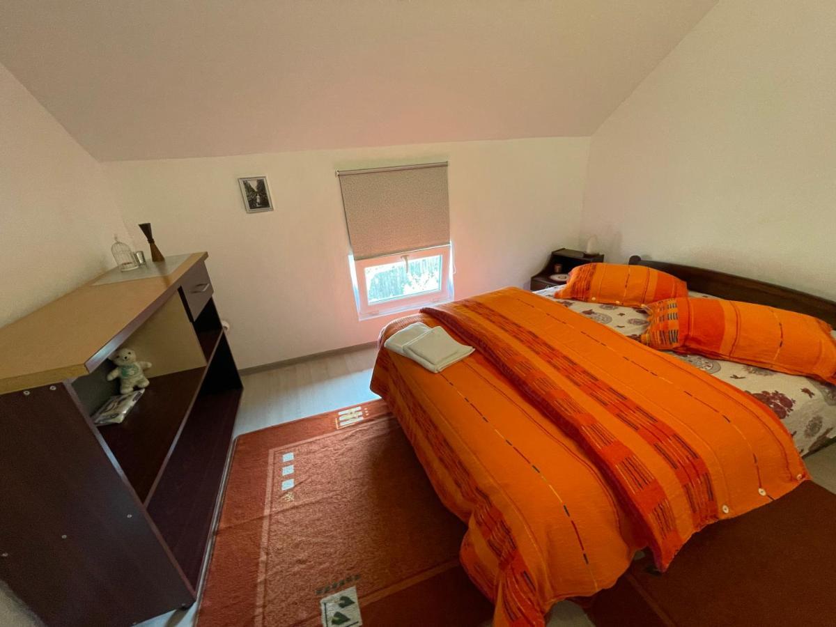 Casa De Oaspeti Cristina Fitod Dış mekan fotoğraf