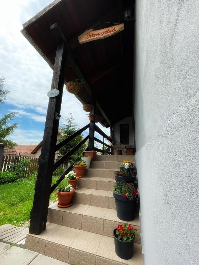 Casa De Oaspeti Cristina Fitod Dış mekan fotoğraf