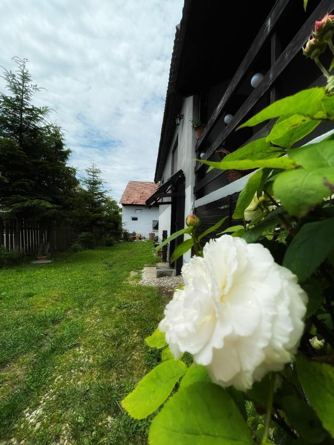 Casa De Oaspeti Cristina Fitod Dış mekan fotoğraf