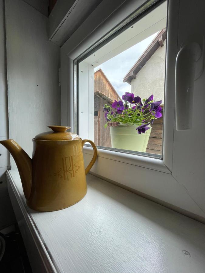 Casa De Oaspeti Cristina Fitod Dış mekan fotoğraf