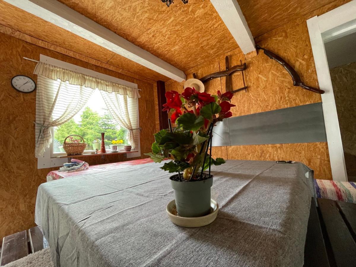 Casa De Oaspeti Cristina Fitod Dış mekan fotoğraf
