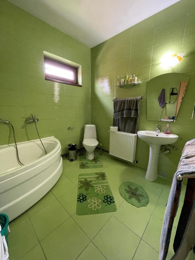Casa De Oaspeti Cristina Fitod Dış mekan fotoğraf